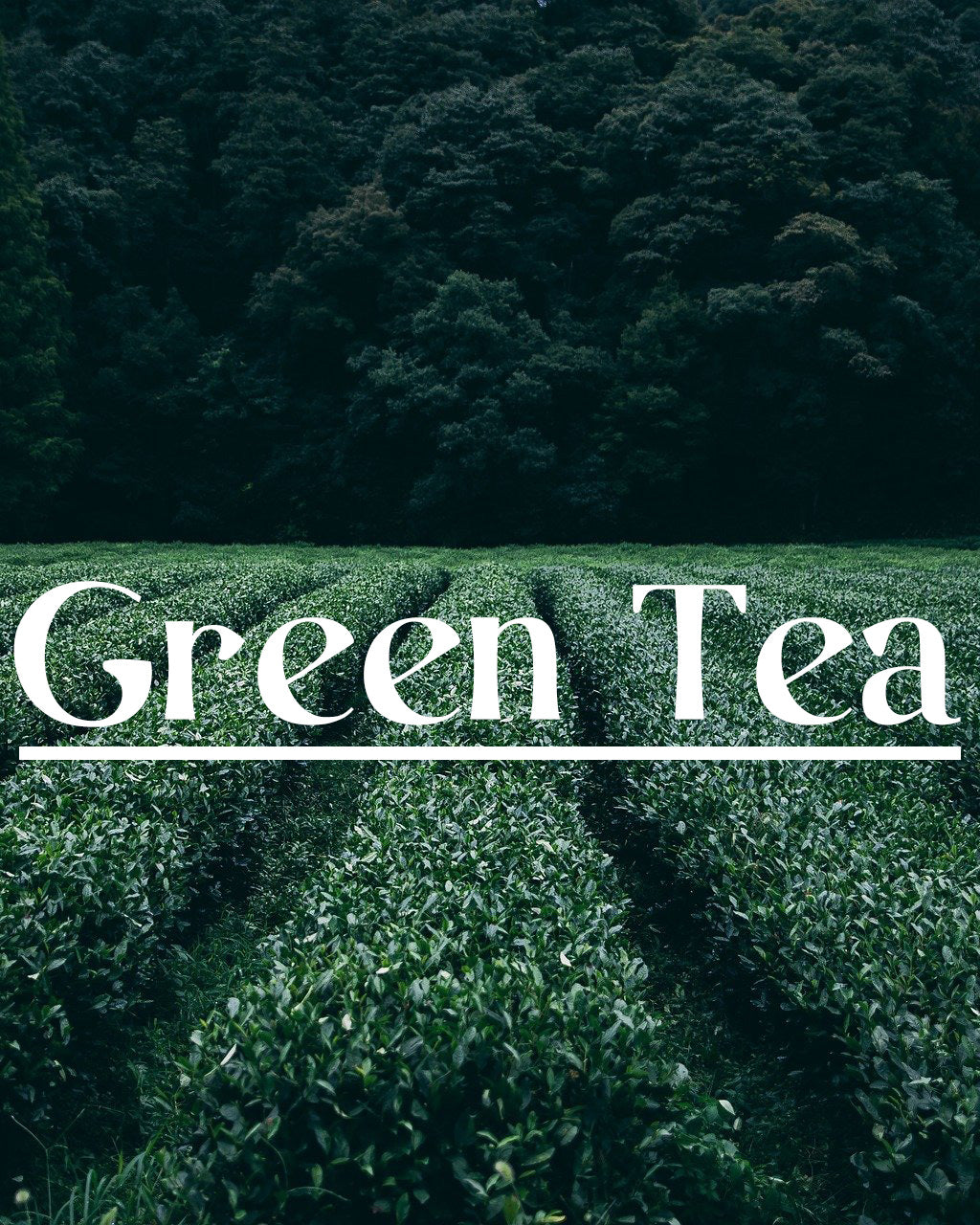 The Essentials - Green Tea