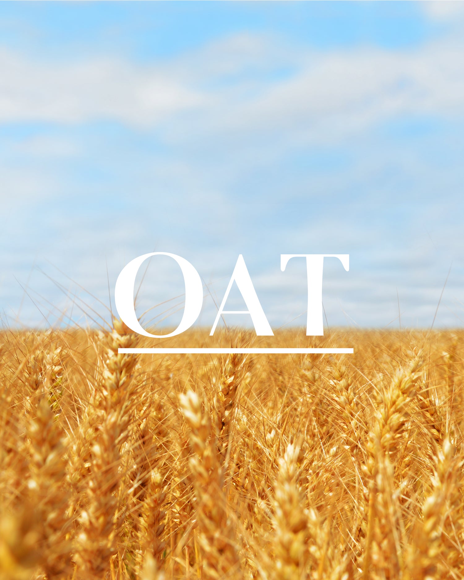 The Essentials -  Super Oat