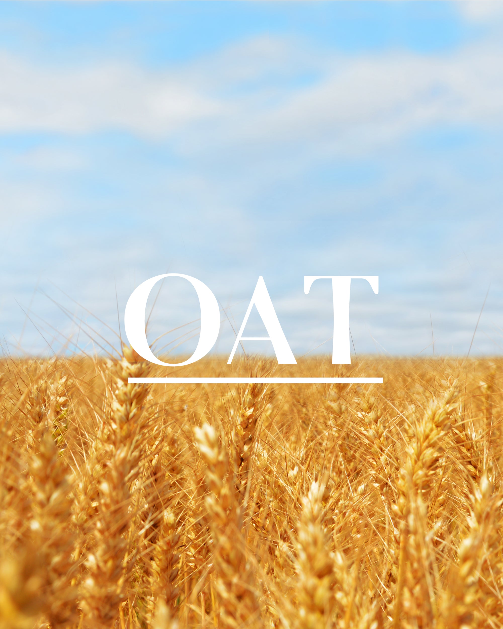 The Essentials -  Super Oat